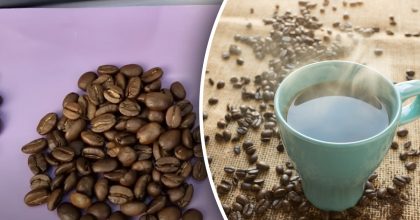 Не потеряют аромат и не отсыреют: как хранить кофейные зерна