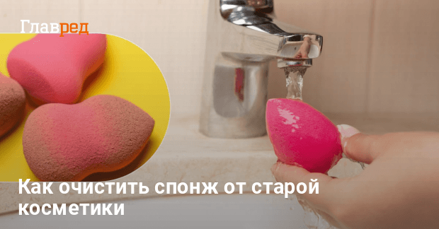 Сонник Тухлые туши животных. К чему снится Тухлые туши животных видеть во сне - Сонник Дома Солнца