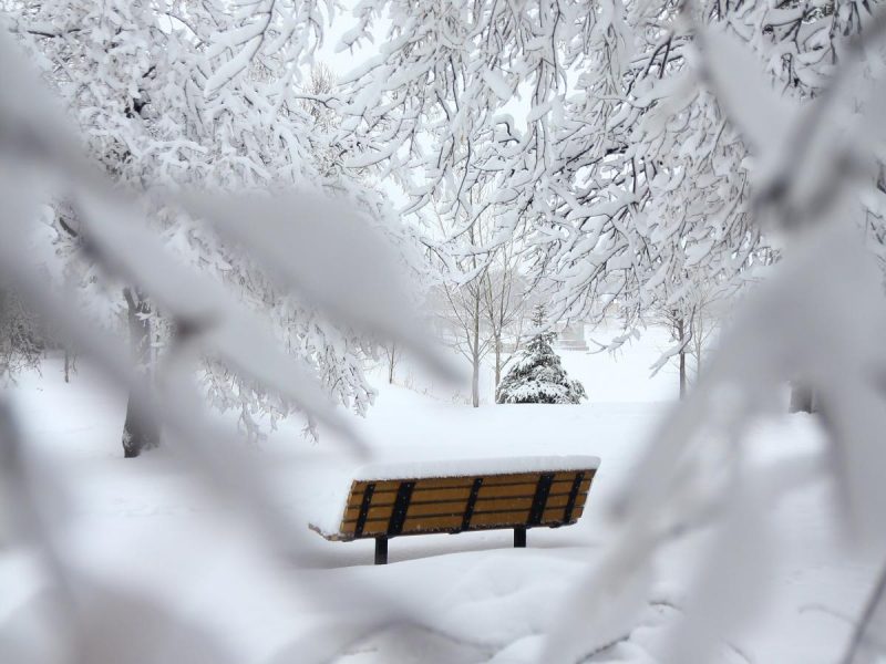 Сильное похолодание и снег: где в Украине врежет -14