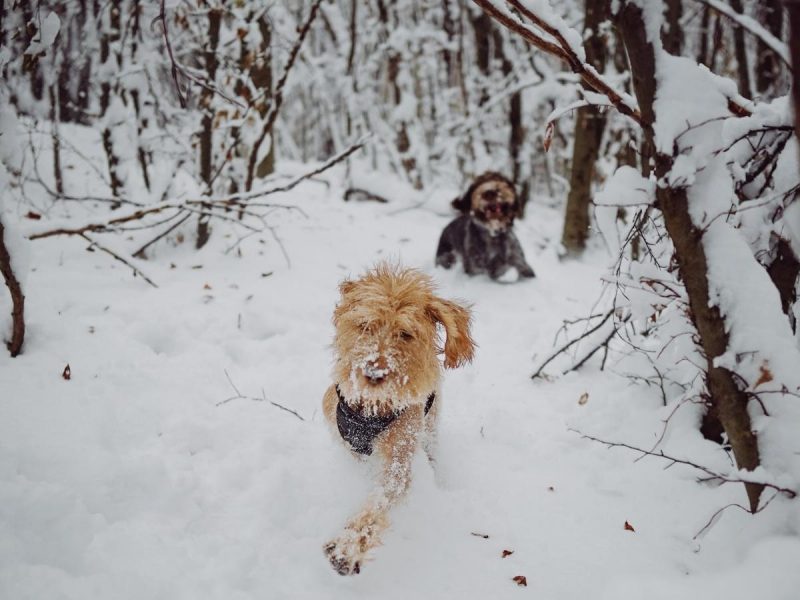 Ворвется 10-градусное тепло: синоптики предупреждают об опасности в некоторых регионах