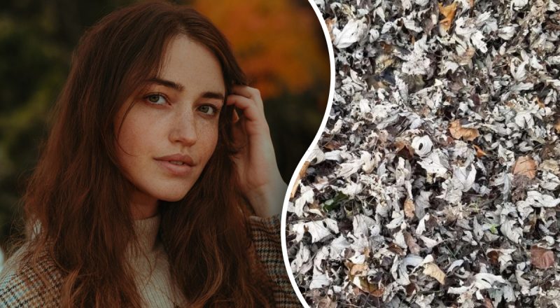 Потрібно знайти кота у листі за 10 секунд: надзвичайна оптична ілюзія