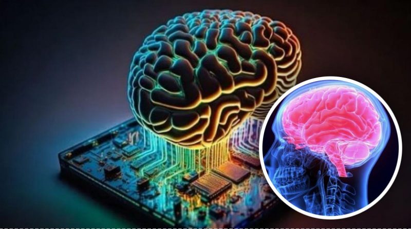 Які у людини є інстинкти: цікаві відомості про загадки свідомості