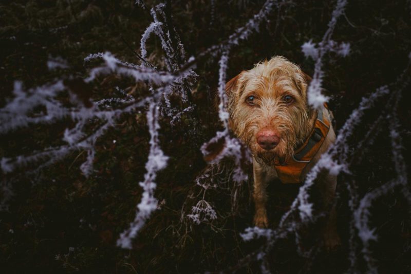 Погода резко меняется: в Украину внезапно возвращается осень