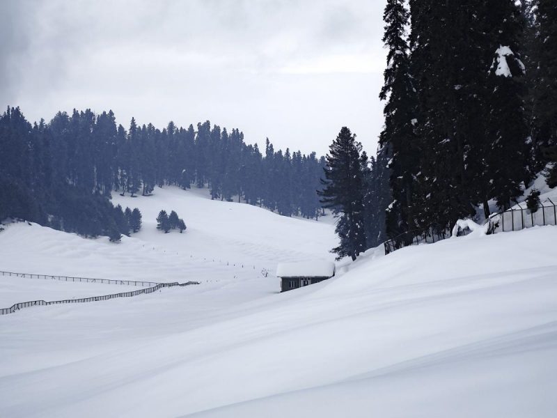 Может сойти большая снежная лавина: в Украину врывается снег и мощный ветер