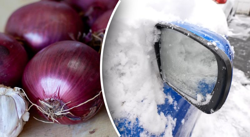 Автомеханік поділився геніальним лайфхаком з цибулею, який розморозить лобове скло за лічені хвилини