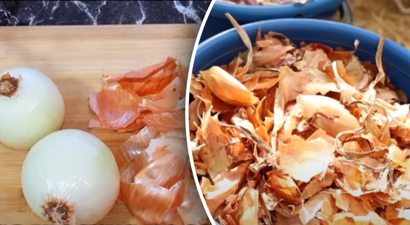 Хитрые повара не выбрасывают луковую шелуху: куда ее добавляют