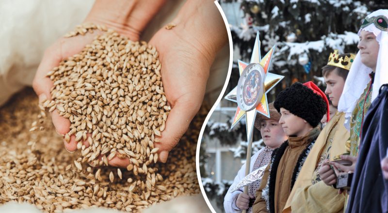 Чи можна жінкам посівати: яке пояснення закладене у давніх звичаях