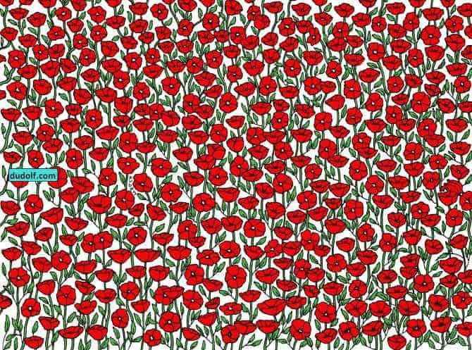 Загадка Загадка