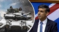 Війна буде довгою: Сунак назвав слабке місце РФ і натякнув на терміни перемоги Києва