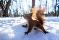 Коли в Україні сильно потепліє: синоптик назвала дату