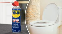 Цей чарівний засіб для видалення жовтих плям на сидінні унітазу змусить його виблискувати