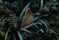 Що не можна викидати 22 січня, щоб не втратити щастя - прикмети