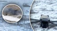 Російська піхота пішла на штурм ЗСУ: їх зустріли Бредлі і рій FPV-дронів, все закінчилось епічно
