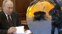 Будь-яке припинення вогню піде на користь РФ: в ISW назвали справжню мету Путіна