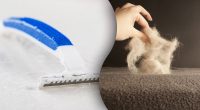 Пилосос більше не потрібен: найлегший спосіб прибрати шерсть із килима, лайфхак