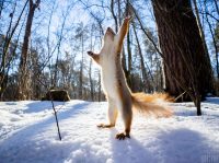 Будуть плюсові температури і сонячна погода: синоптик назвала дату потепління