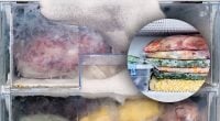 Что нельзя замораживать в морозильной камере: ответ удивит каждого