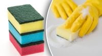 Це не просто так: чому губки для миття посуду продають різнокольоровими