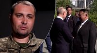 Візит Путіна до КНДР: Буданов розкрив реальну мету візиту та деталі переговорів