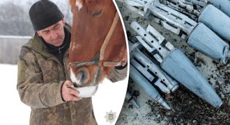 Голодают и замерзают: на Харьковщине фермер бросил десятки коней и сбежал в РФ