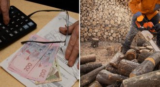 Украинцы получат повышенную субсидию на дрова до конца зимы: кто в списке