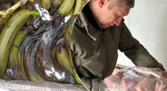 Этим хотели кормить военных: на складах ВСУ нашли кучу испорченной еды