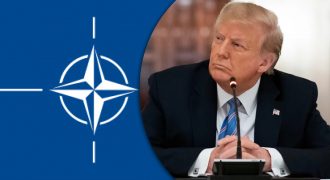 Трамп снова набросился на НАТО из-за Украины: сделал скандальное заявление