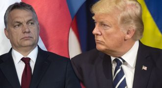 "Великий лидер в Европе": Трамп сделал комплимент премьеру Венгрии Виктору Орбану
