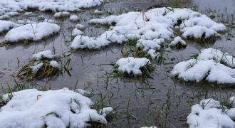 Украину накрывает непогода: одни регионы засыплет снегом, а другие зальет дождями