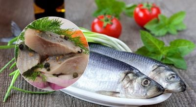 Чим відрізняється Матіас від оселедця: таємниця смаку і користі Чим відрізняється Матіас від оселедця: таємниця смаку і користі