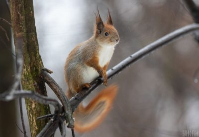 Погода різко зміниться: в Україну йде аномальне потепління