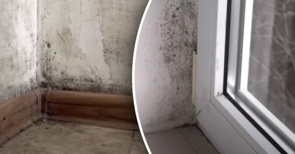 Как избавиться от плесени на кухне и в ванной: скажите ей "прощай" навсегда