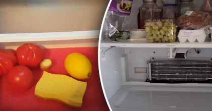 Зачем люди хранят одну губку в холодильнике: решает сразу 2 проблемы