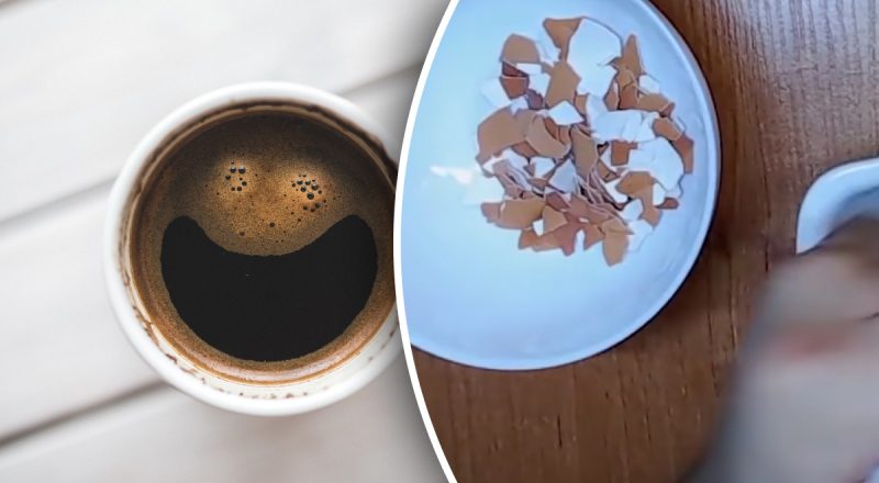 Не сумасшедшие, а гурманы: для чего люди добавляют яичную скорлупу в кофе