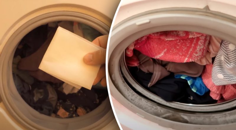 Бросьте это в стиралку и навсегда забудьте о прилипшей шерсти к одежде