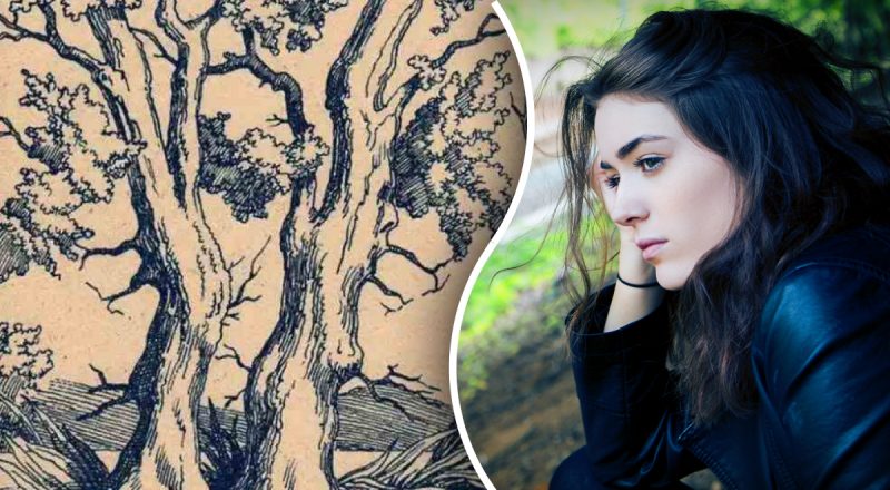 Только 1% людей с высоким IQ найдут 3 лица на дереве: чрезвычайно сложная загадка