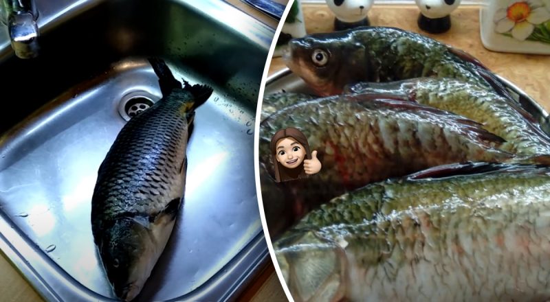 Чешуя не будет разлетаться по всей кухне: как почистить рыбу без ножа