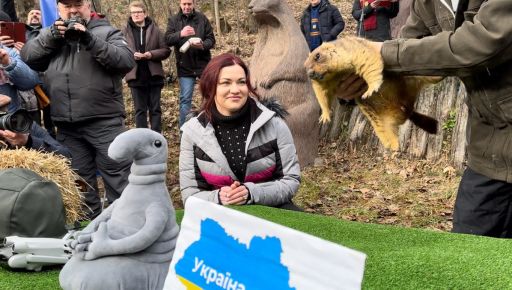 сурок Тимка ІІІ сурок Тимка ІІІ