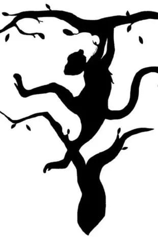 Оптическая иллюзия