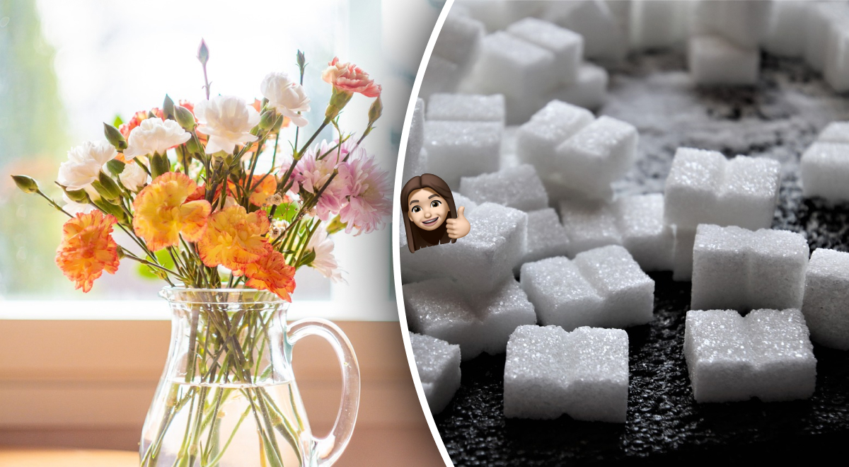 Французский флорист рассказал, почему нужно класть кубик сахара в вазу с цветами