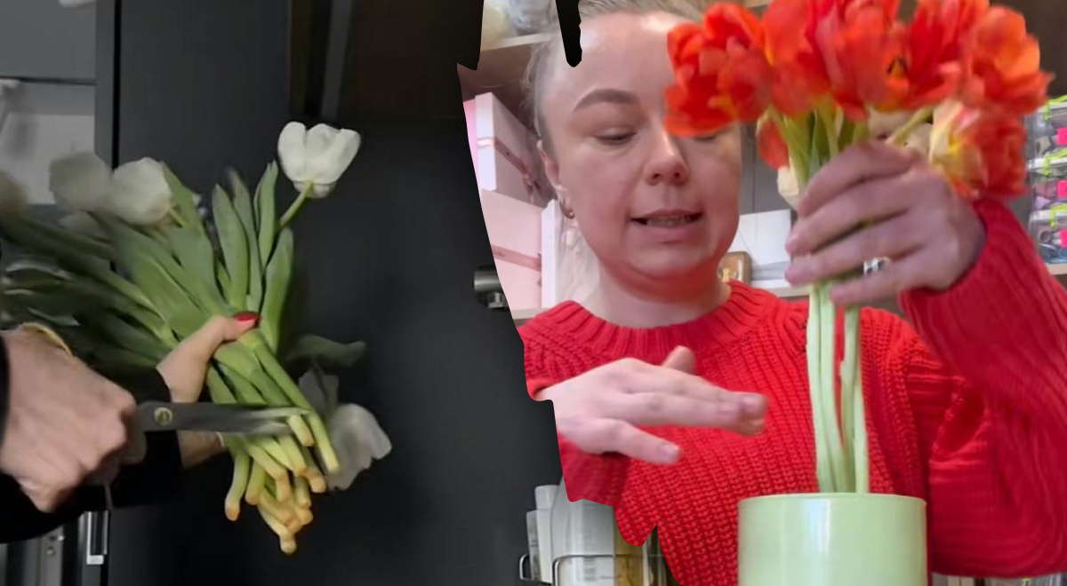 Как ухаживать за тюльпанами в вазе: секрет, благодаря которому цветы стоят долго