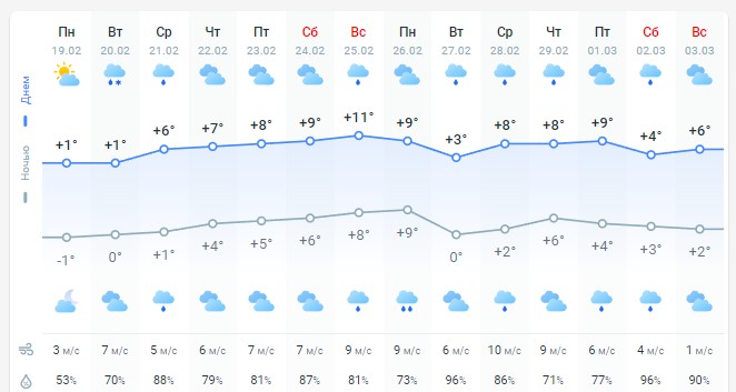 погода 20 февраля 