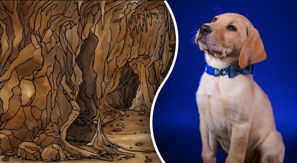 Только люди с орлиным зрением найдут собаку в пещере за 6 секунд: сложная оптическая иллюзия