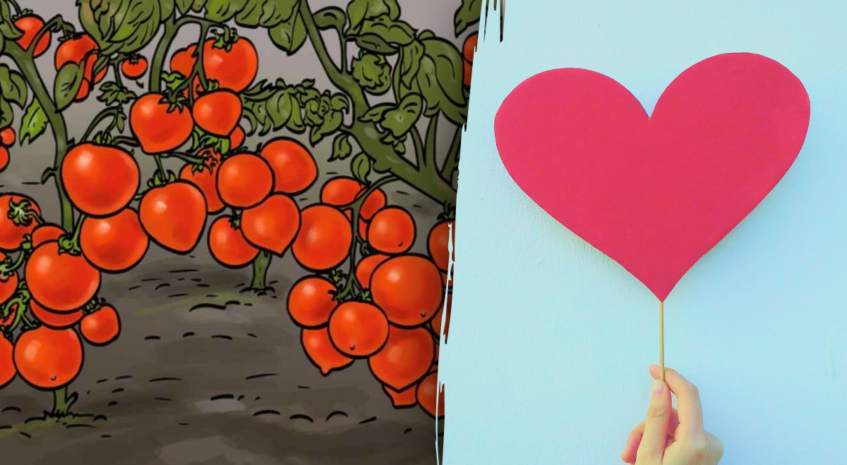 Найти сердце среди помидоров за 4 секунды смогут лишь единицы: загадка на скорость