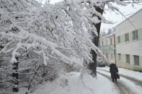 Сніг, мороз та хуртовини: в яких областях різко погіршиться погода