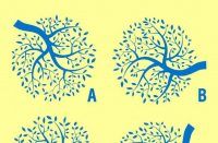 Потрібно знайти 2 однакові дерева за 5 секунд: загадка для найкмітливіших