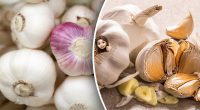 Багато, швидко і без мук: як почистити часник за хвилину