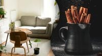Зачем в квартире раскладывать корицу: секрет, о котором знают единицы