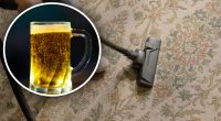 Як видалити стійкі плями з килима за допомогою пива: результат здивує