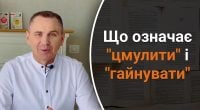 Що означає цмулити і гайнувати: мовознавець пояснив колоритні слова